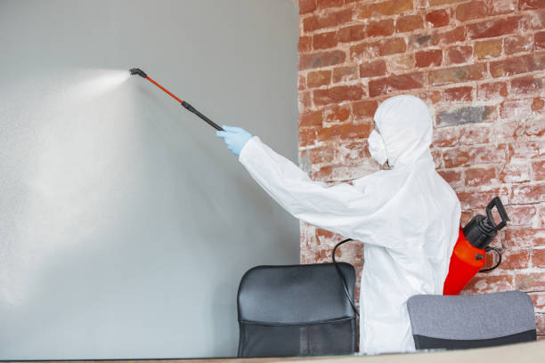 Best Water Damage & Mold Remediation  in Raymond, WA