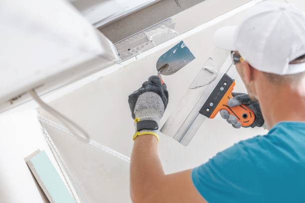 Best Black Mold Removal  in Raymond, WA